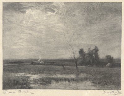 Paesaggio, Pomeriggio da Timothy Cole