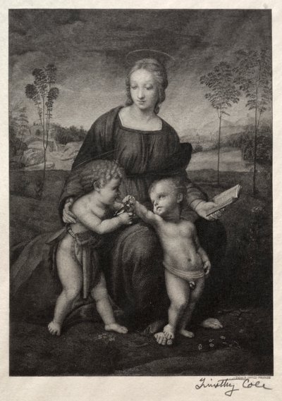 Vecchi maestri italiani: La Madonna del Cardellino, 1888-1892 da Timothy Cole