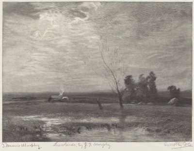 Bassi Fondi da Timothy Cole after John Francis Murphy