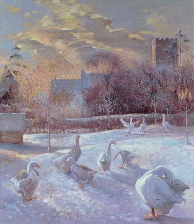 Prima luce, 1994 da Timothy Easton