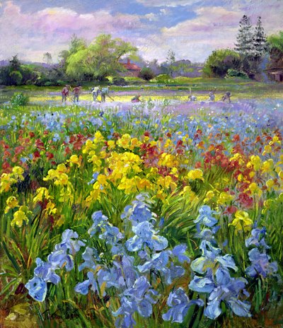 Squadra di Zappatori e Campi di Iris da Timothy Easton