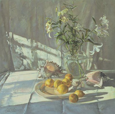 Riflessioni e Ombre da Timothy Easton