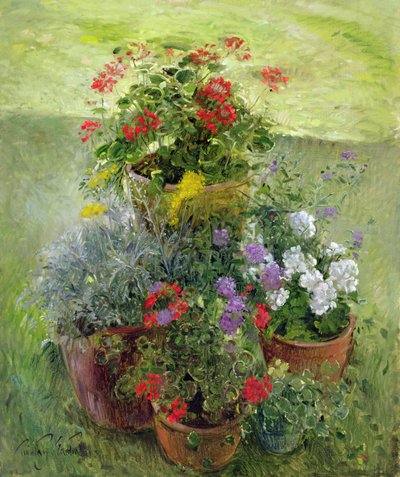 Vasi ombreggiati da Timothy Easton