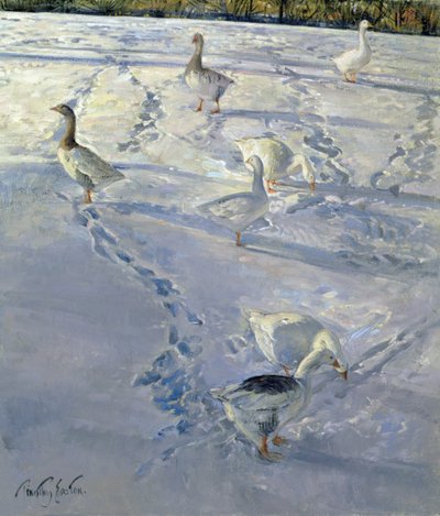 Ombre e sentieri da Timothy Easton