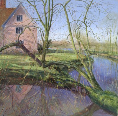 Salice che germoglia da Timothy Easton