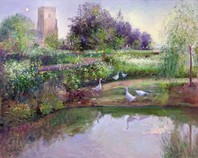 Riflessioni al tramonto da Timothy Easton