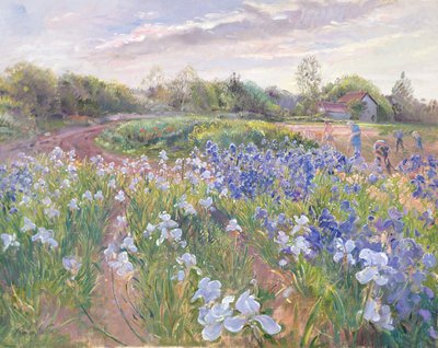 Riflessi di sole sugli Iris, 1996 da Timothy Easton