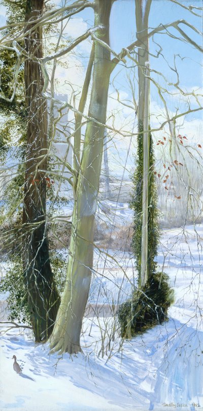 Tre alberi in inverno da Timothy Easton