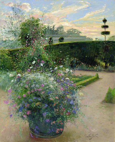 Margherite bianche contro il graticcio di piselli odorosi da Timothy Easton