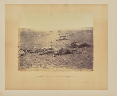 Un raccolto di morte, Gettysburg, Pennsylvania da Timothy H. OSullivan