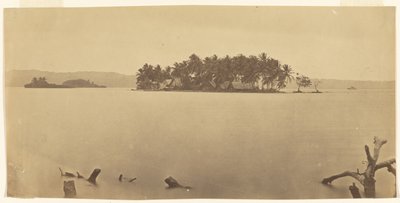 [Istmo di Darién (Panama)] da Timothy H. O