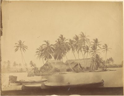 [Baia di Limón, Istmo di Darién (Panama)] da Timothy H. OSullivan