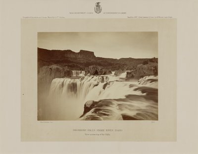 Cascate di Shoshone, fiume Snake, Idaho, vista dalla cima delle cascate da Timothy H. O