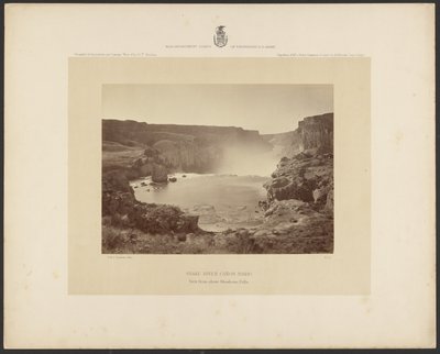 Snake River Cañon, Idaho, vista da sopra le cascate di Shoshone da Timothy H. OSullivan