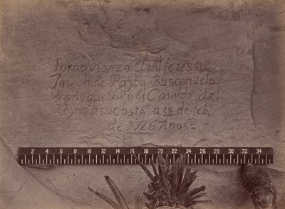 Esplorazioni e rilievi geografici e geologici a ovest del 100° meridiano da Timothy O