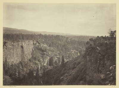 Cañon della forcella nord, torrente Sierra Blanca, Arizona da Timothy O