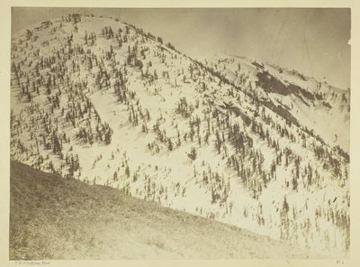 Snow Peaks, distretto minerario di Bull Run, Nevada da Timothy O