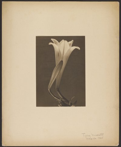N. 1. da Tina Modotti