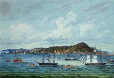 Veduta di Hong Kong, c.1860 da Tinqua