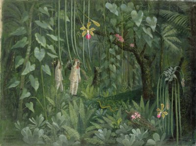 Cacciatori di orchidee del Brasile da Tirzah Ravilious