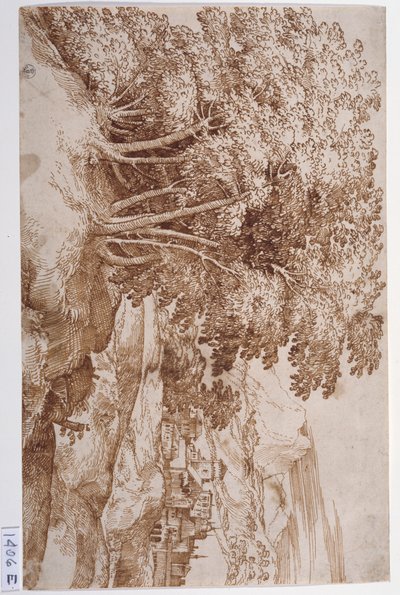 Paesaggio con alberi a sinistra e una città sullo sfondo da Titian (c.1488 1576)