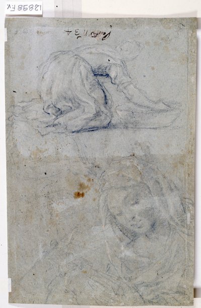 Studi della Vergine da Titian (c.1488 1576)