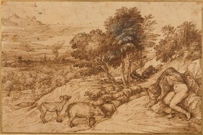 Paesaggio boscoso con una donna nuda, la testa nascosta da un mantello da Titian (c.1488 1576)