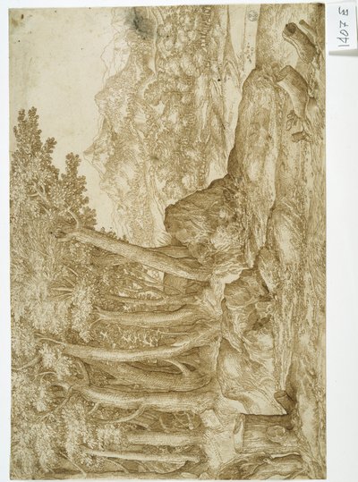 Paesaggio da Titian (c.1488 1576)