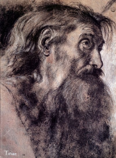 Testa di vecchio Disegno di Tiziano Vecellio detto Tiziano (1485-1576) XVI secolo Parigi, Museo del Louvre da Titian (c.1488 1576)