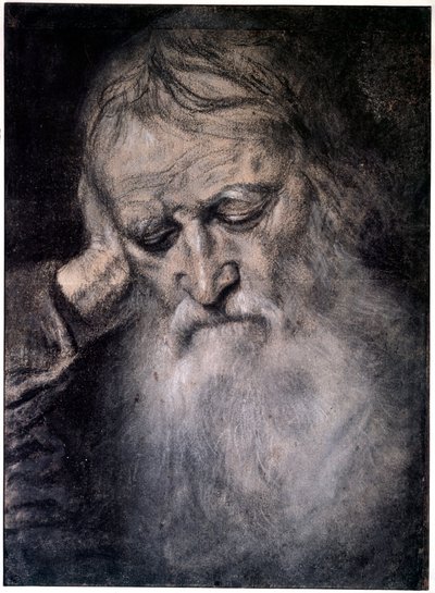 Testa di vecchio da Tiziano Vecelli