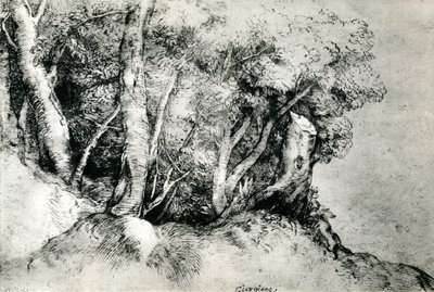 Paesaggio forestale da Tiziano Vecelli