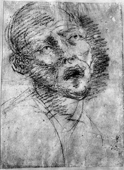 Testa di un Moro, c1525 da Tiziano Vecelli