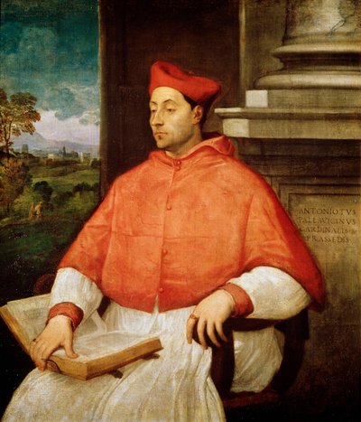 Ritratto del cardinale Antonio Pallavicini, 1441-1507 da Tiziano Vecelli