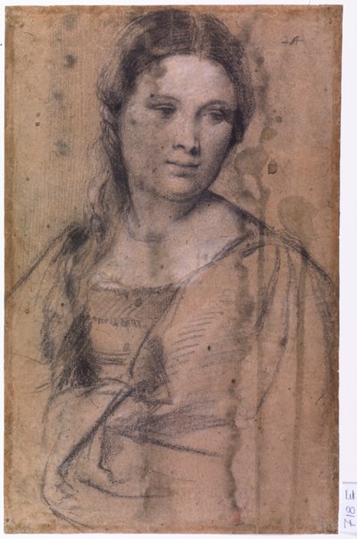 Ritratto di una giovane ragazza da Tiziano Vecelli