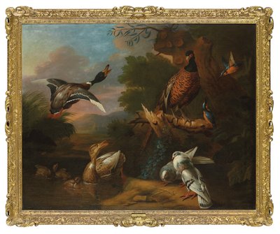 Un fagiano, piccioni, anatroccoli e martin pescatori con un germano reale che prende il volo in una pozza boscosa, un paesaggio oltre da Tobias (circle of) Stranover