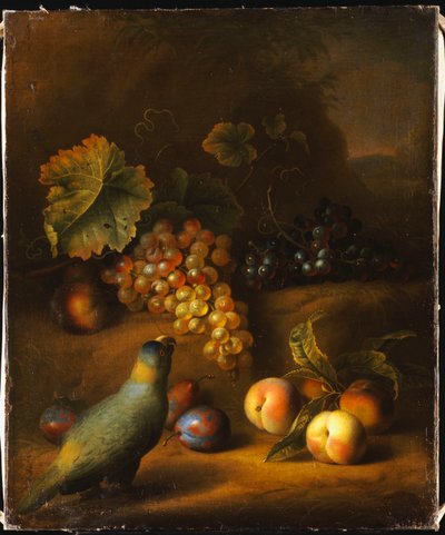 Un pappagallo con uva, pesche e prugne in un paesaggio da Tobias Stranover