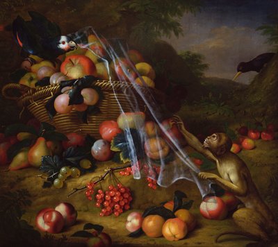 Frutta mista con una scimmia, un pappagallo, una ghiandaia e due fringuelli in un paesaggio da Tobias Stranover