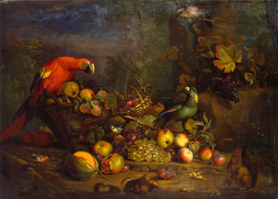 Pappagalli e frutta con altri uccelli e uno scoiattolo da Tobias Stranover