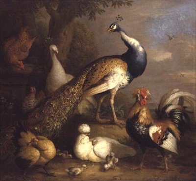 Pavone, pavoncella e pollame in un paesaggio da Tobias Stranover