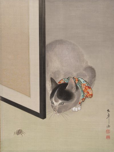 Gatto che osserva un ragno da Toko Oide
