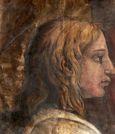 Una testa dal cartone per l