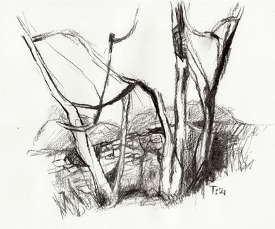 Schizzo della foresta spoglia da Tore Bahnson