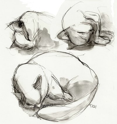 Studi sul gatto che dorme da Tore Bahnson