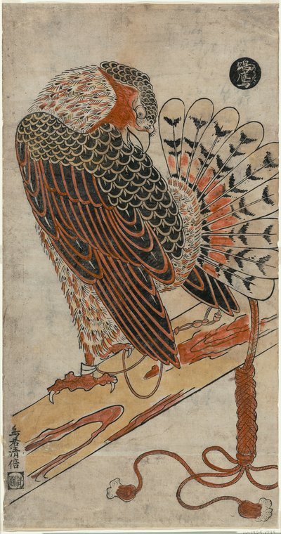 Sparviero (Konori taka) da Torii Kiyomasu I