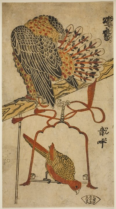 Sparviero e ara (Konori taka, inko) da Torii Kiyomasu I