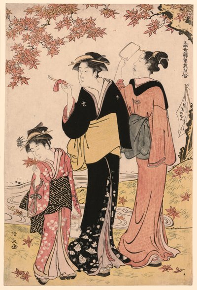 Bellezze sotto un acero, dalla serie "Una collezione di bellezze contemporanee dei quartieri del piacere (Tosei yuri bijin awase)" da Torii Kiyonaga
