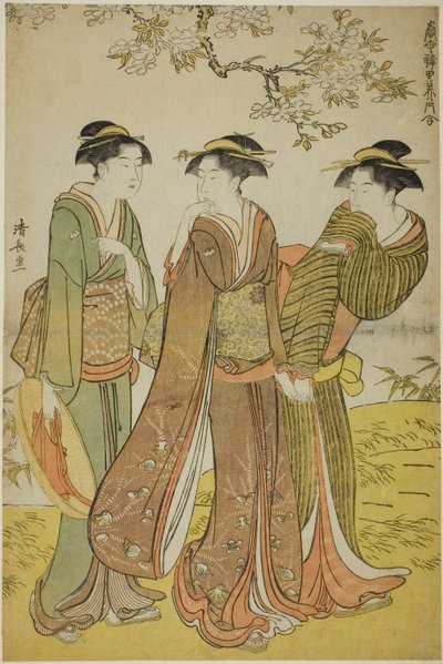 Gita di Primavera, dalla serie "Una Collezione di Bellezze Contemporanee dei Quartieri del Piacere" da Torii Kiyonaga