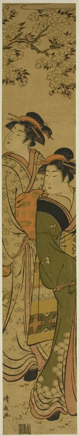 Due geishe che camminano sotto un ciliegio da Torii Kiyonaga