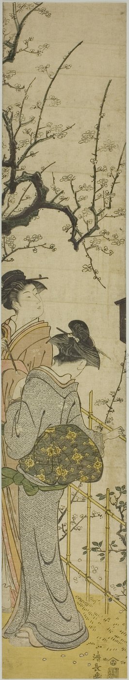 Due donne che osservano i fiori di pruno da Torii Kiyonaga