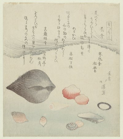 Conchiglia di fiori, conchiglia rossa e conchiglia pura rossa da Totoya Hokkei